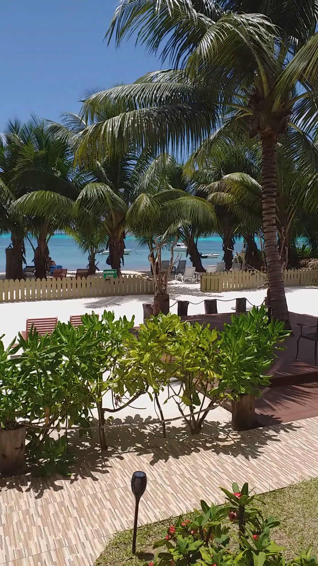 Seashell Beach Villa photo 3
