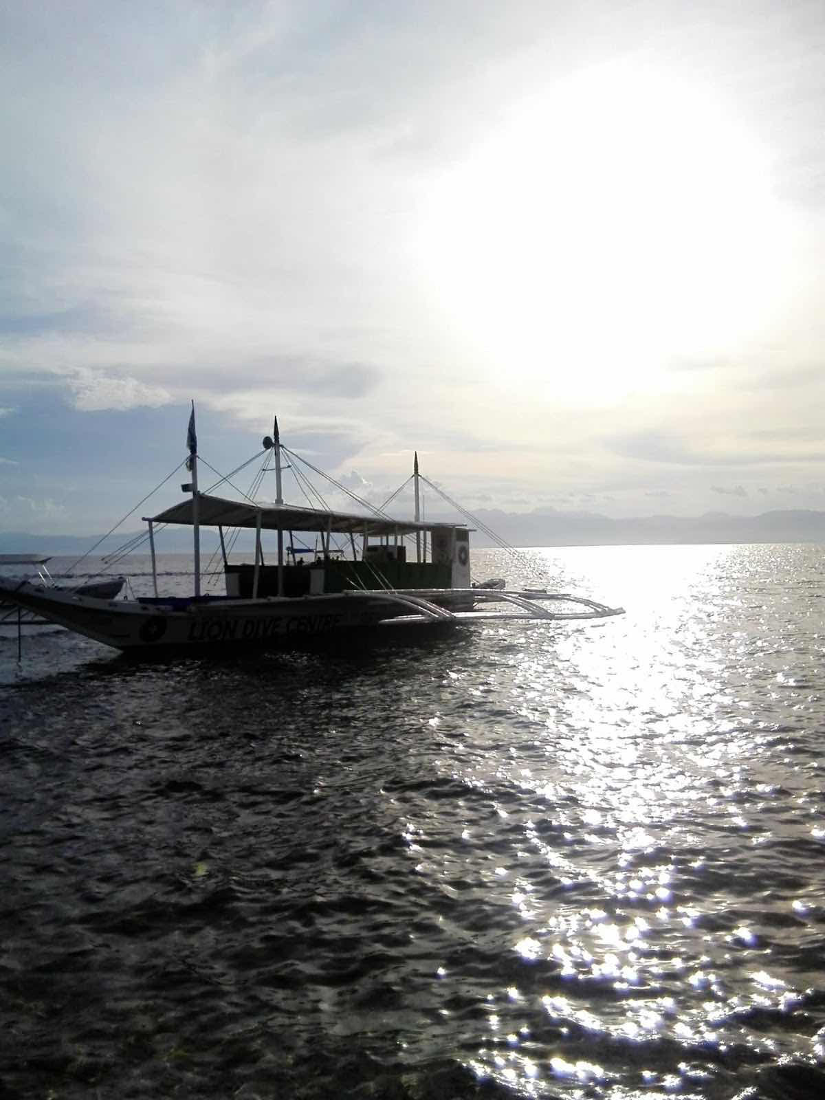 TikiTiki Divers チキチキダイバーズ photo 4
