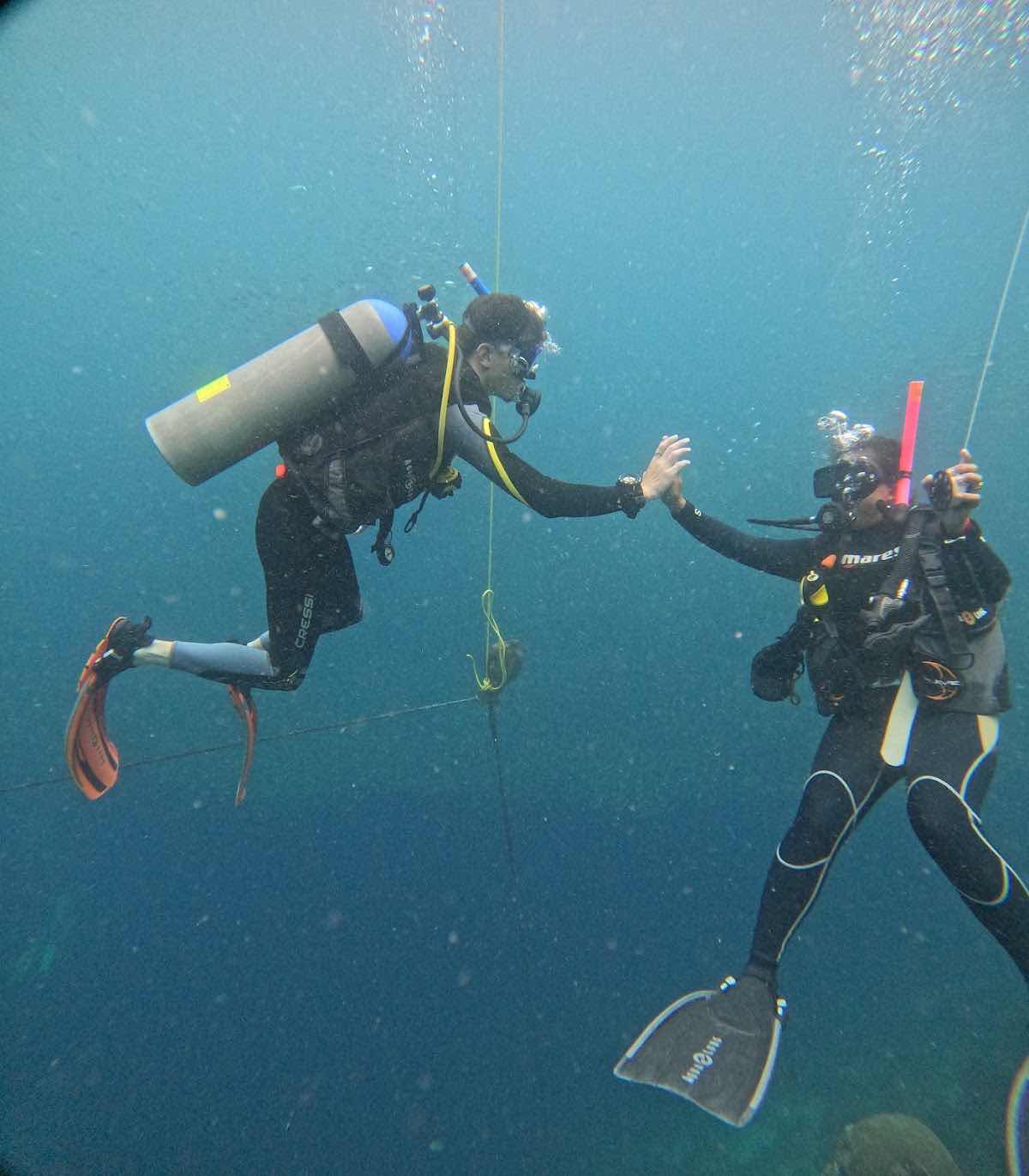TikiTiki Divers チキチキダイバーズ photo 8