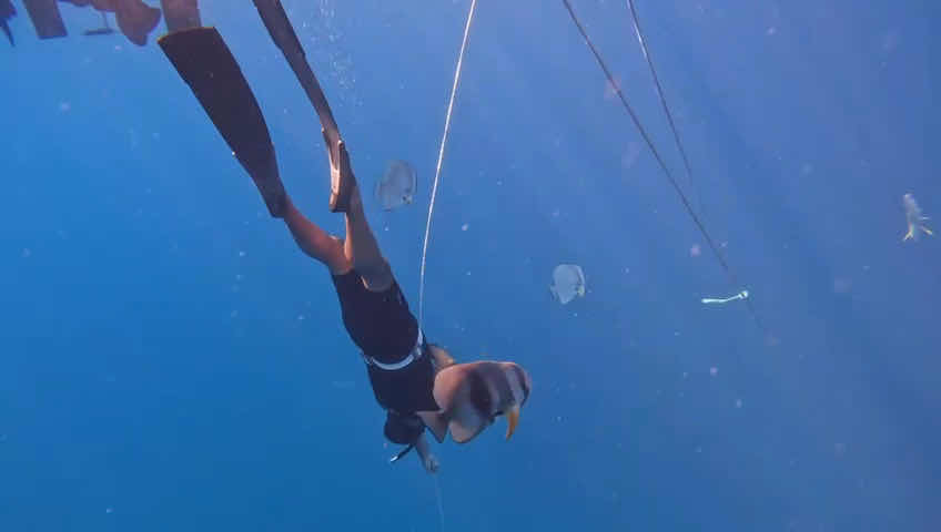 Atoll Divers photo 2