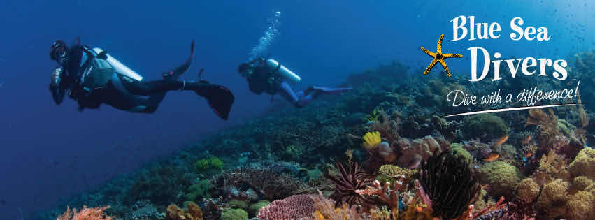 Atoll Divers photo 4
