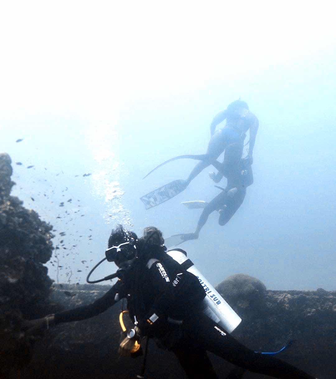 Atoll Divers photo 9