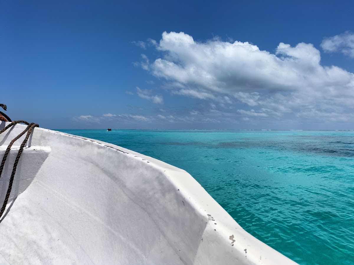 Zanblue Dive Center photo 8