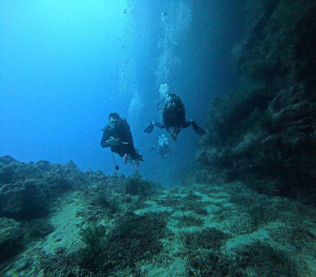 Cidade Velha Diving photo 1