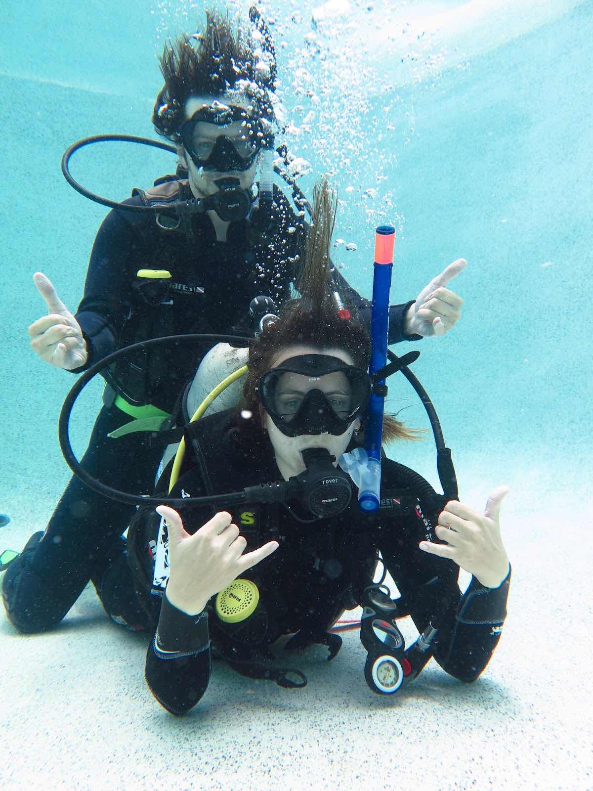 Whitsunday Dive Adventures photo 5