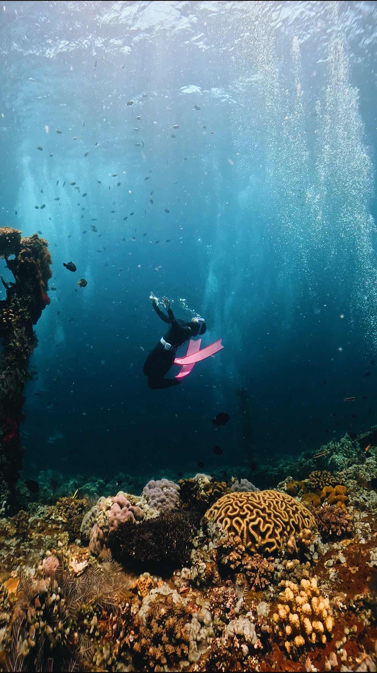 Bounty Wreck, Diving Spot photo 5