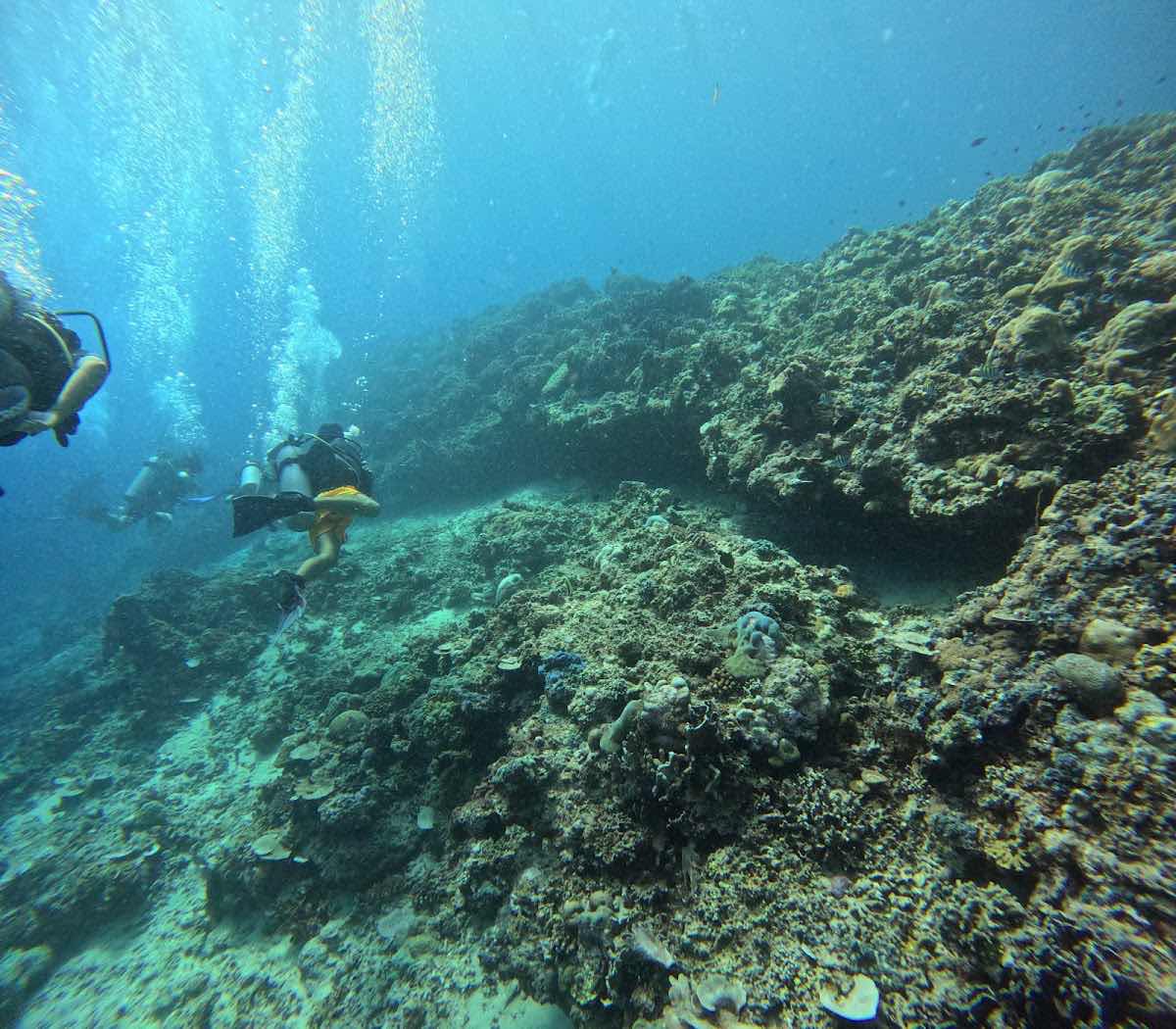 Bounty Wreck, Diving Spot photo 7