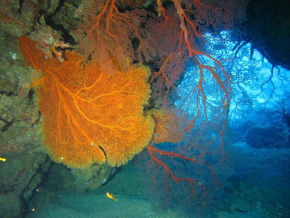Tieti Diving photo 1
