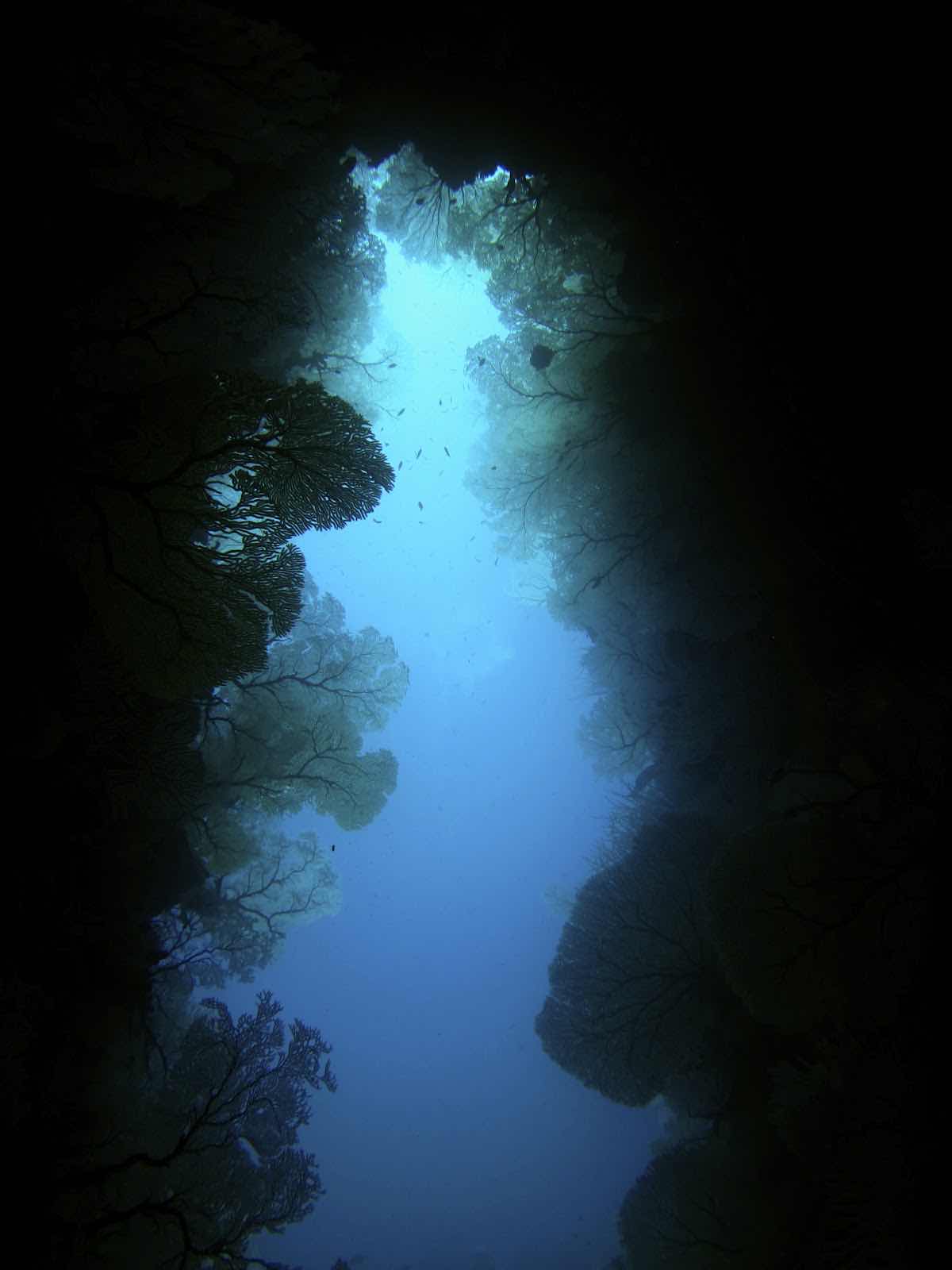 Tieti Diving photo 3