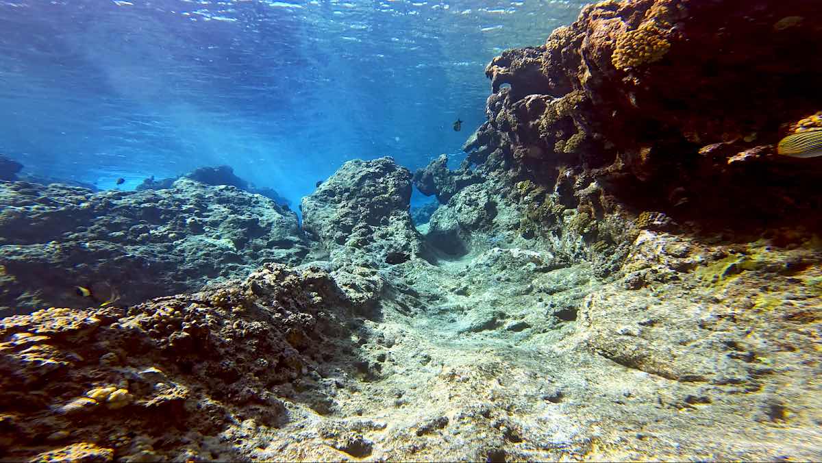 HiRO DiVE BORA BORA photo 2