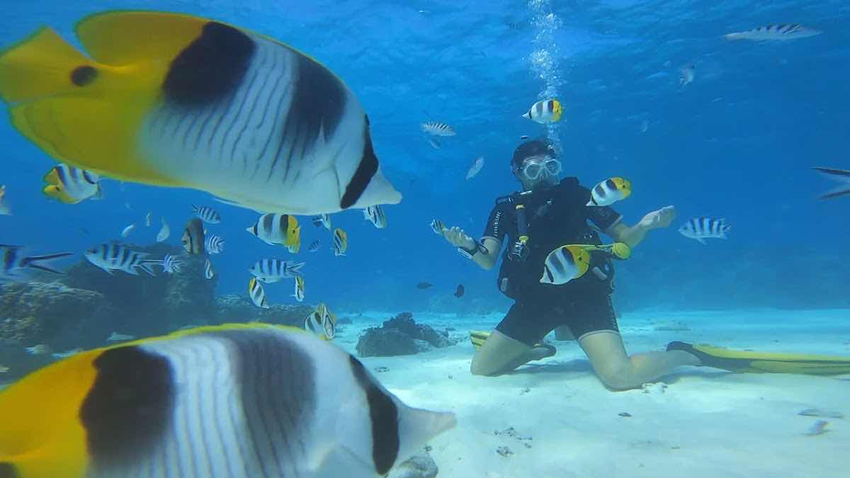 HiRO DiVE BORA BORA photo 3