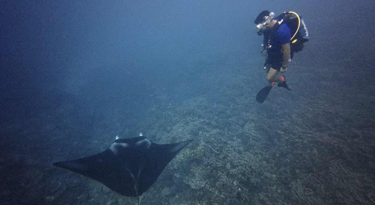 HiRO DiVE BORA BORA photo 7