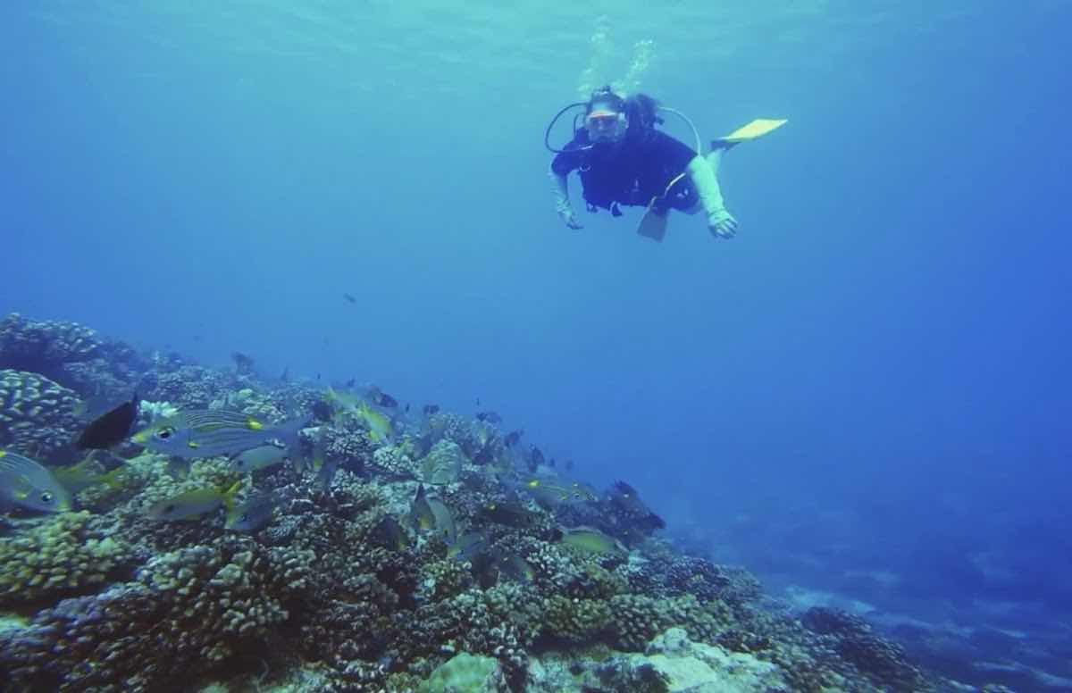 HiRO DiVE BORA BORA photo 10