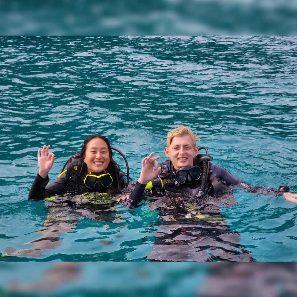 Spice Divers photo 9