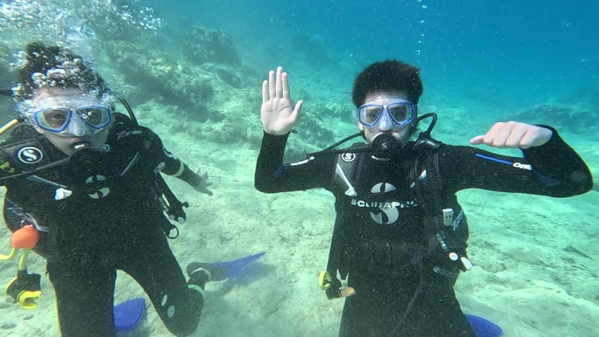 Deepist Kaş Dalış Merkezi / Dive Center photo 3