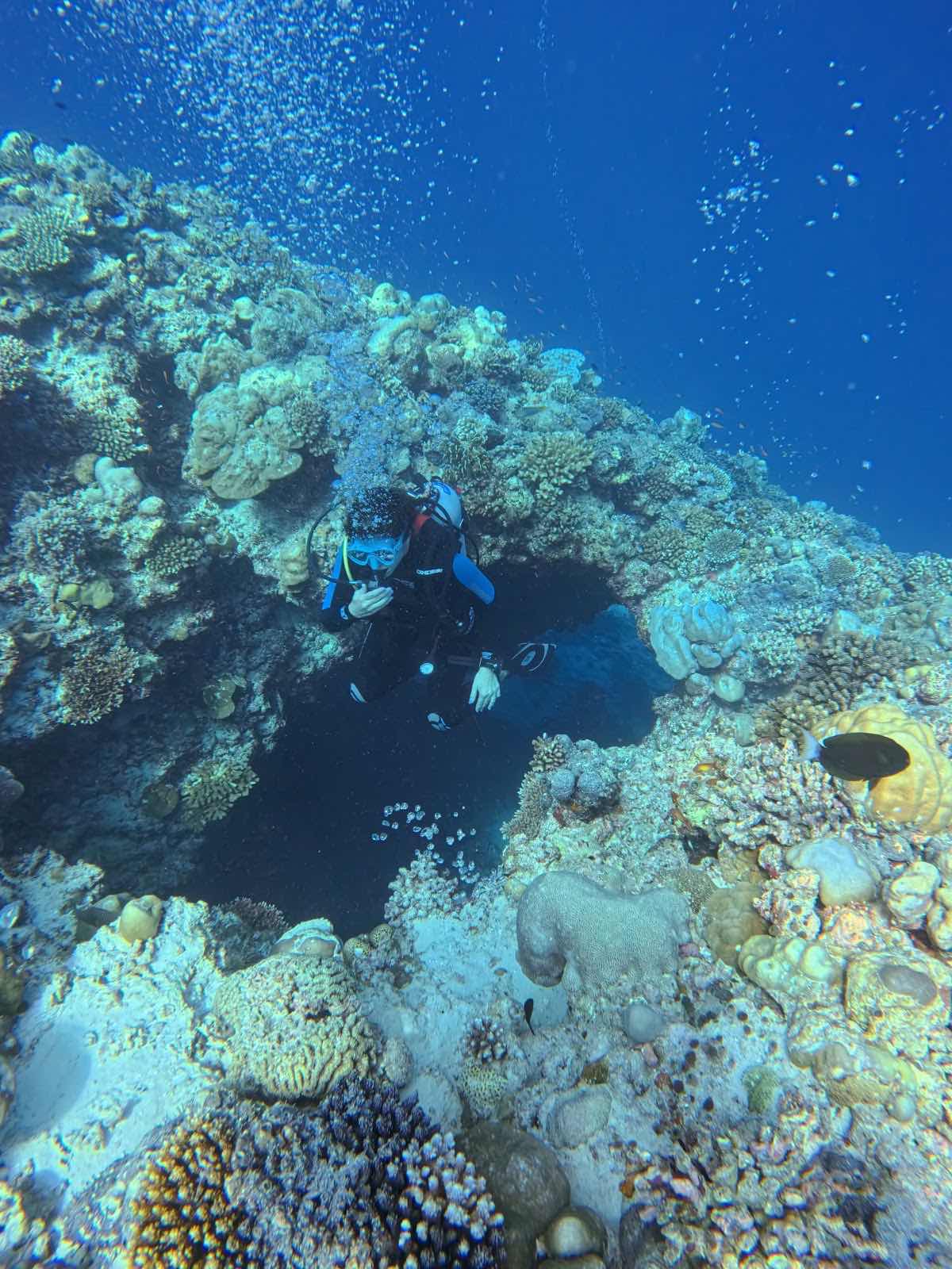 Euro-Divers Niva Dhigali Maldives | Dive & Water Sports Centre photo 8