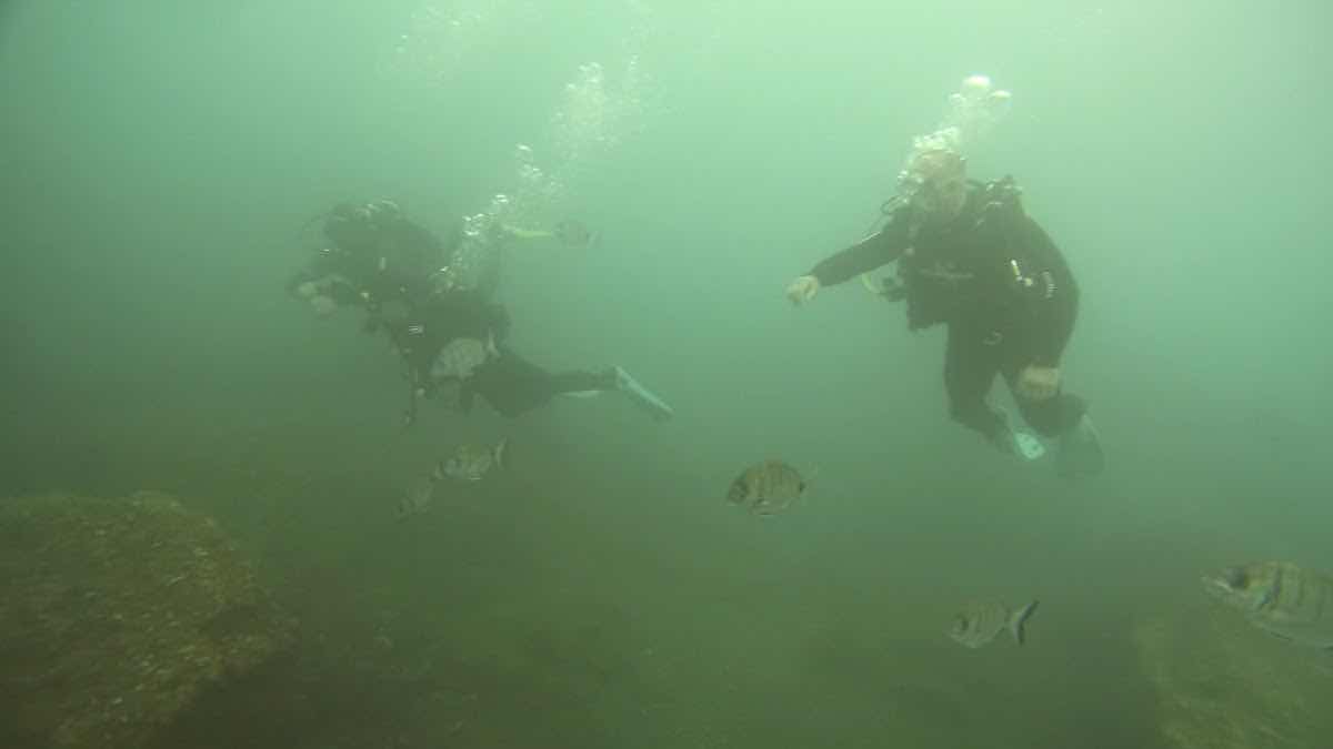 Mero Diving Center photo 3