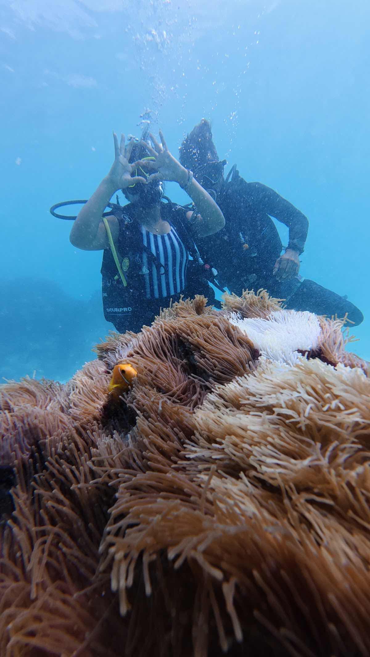 Laksha'Dives Scuba Dive Resort photo 2