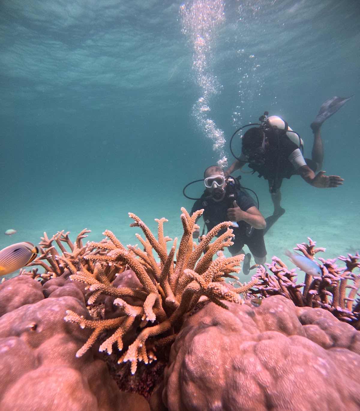 Laksha'Dives Scuba Dive Resort photo 4