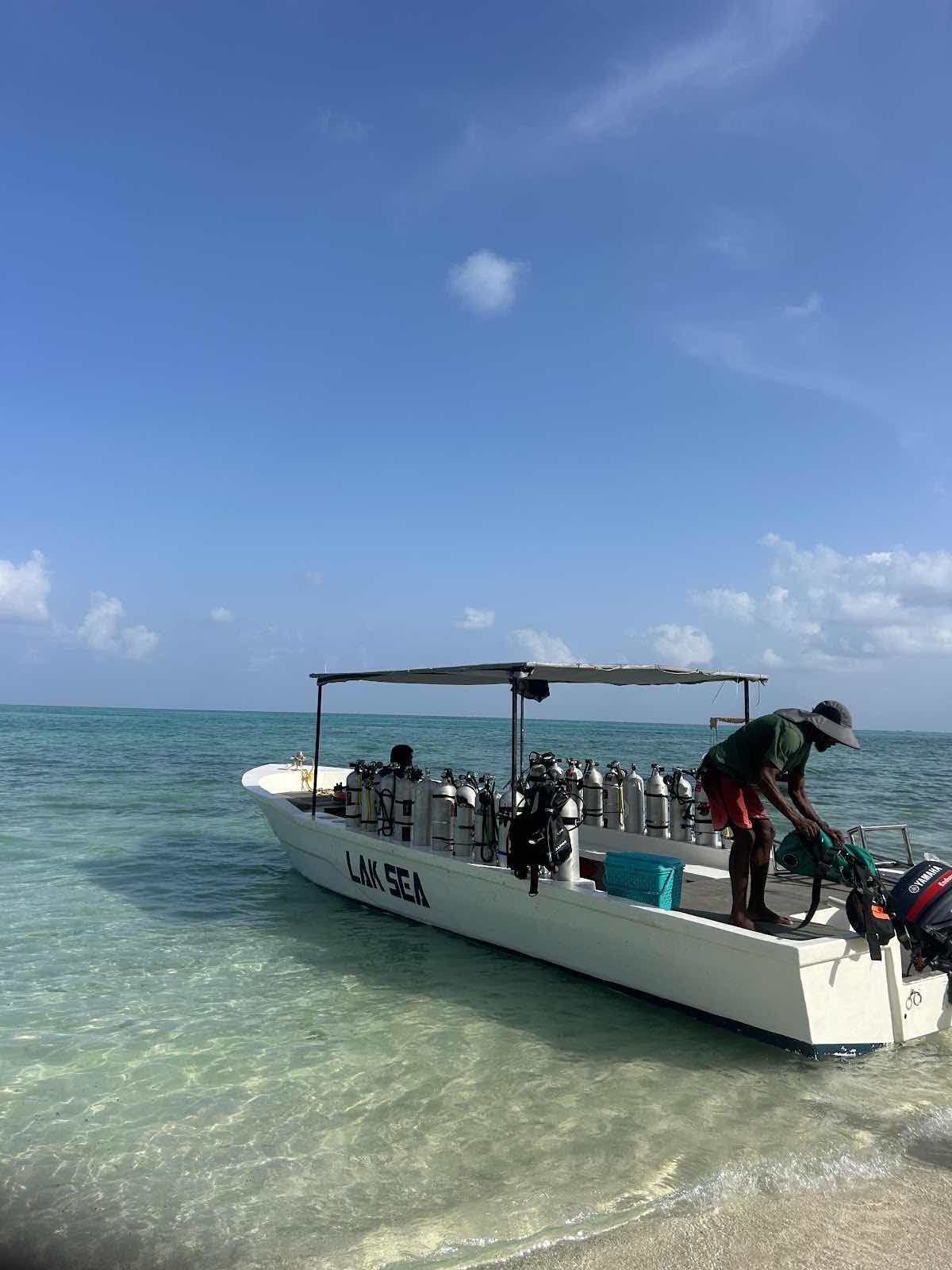 Laksha'Dives Scuba Dive Resort photo 8