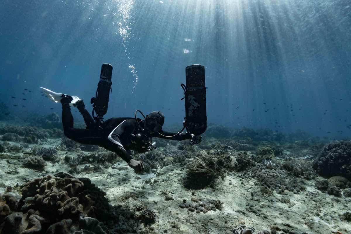 Alor Nusa Dive photo 5