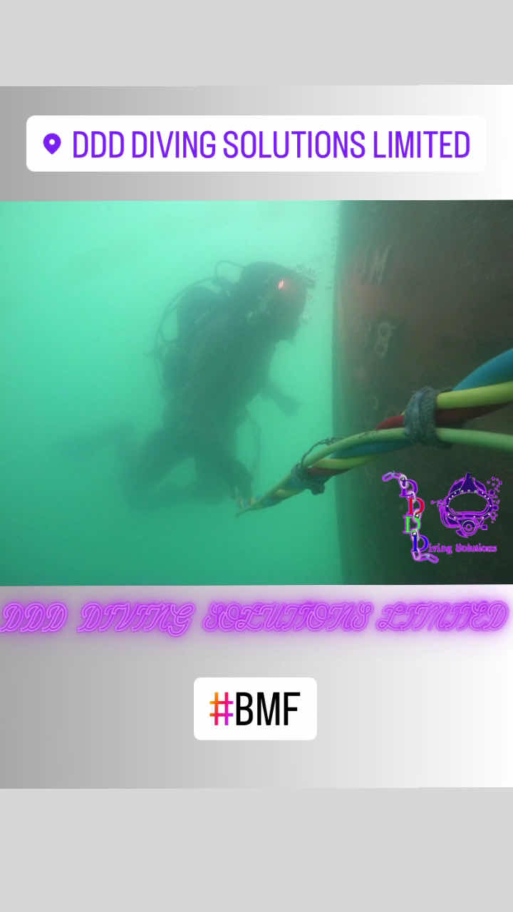 DDD Diving Solutions Limited photo 6