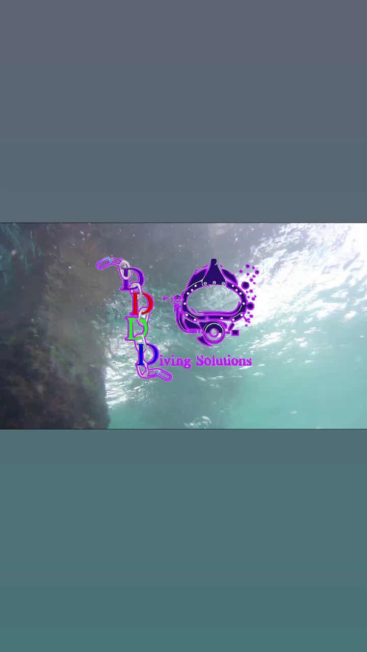DDD Diving Solutions Limited photo 7
