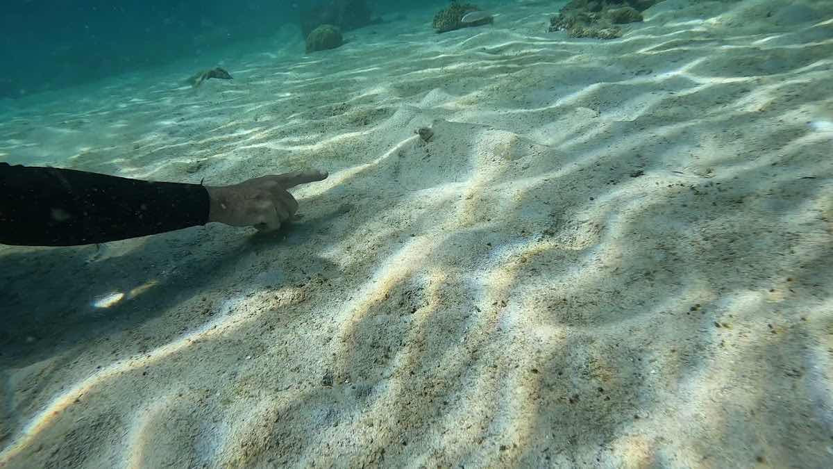 Mada-scuba photo 3