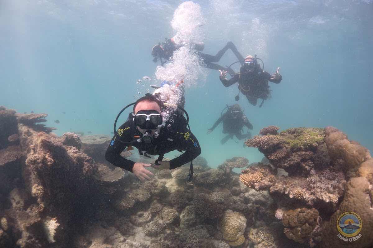 Ningaloo Dive Exmouth photo 2
