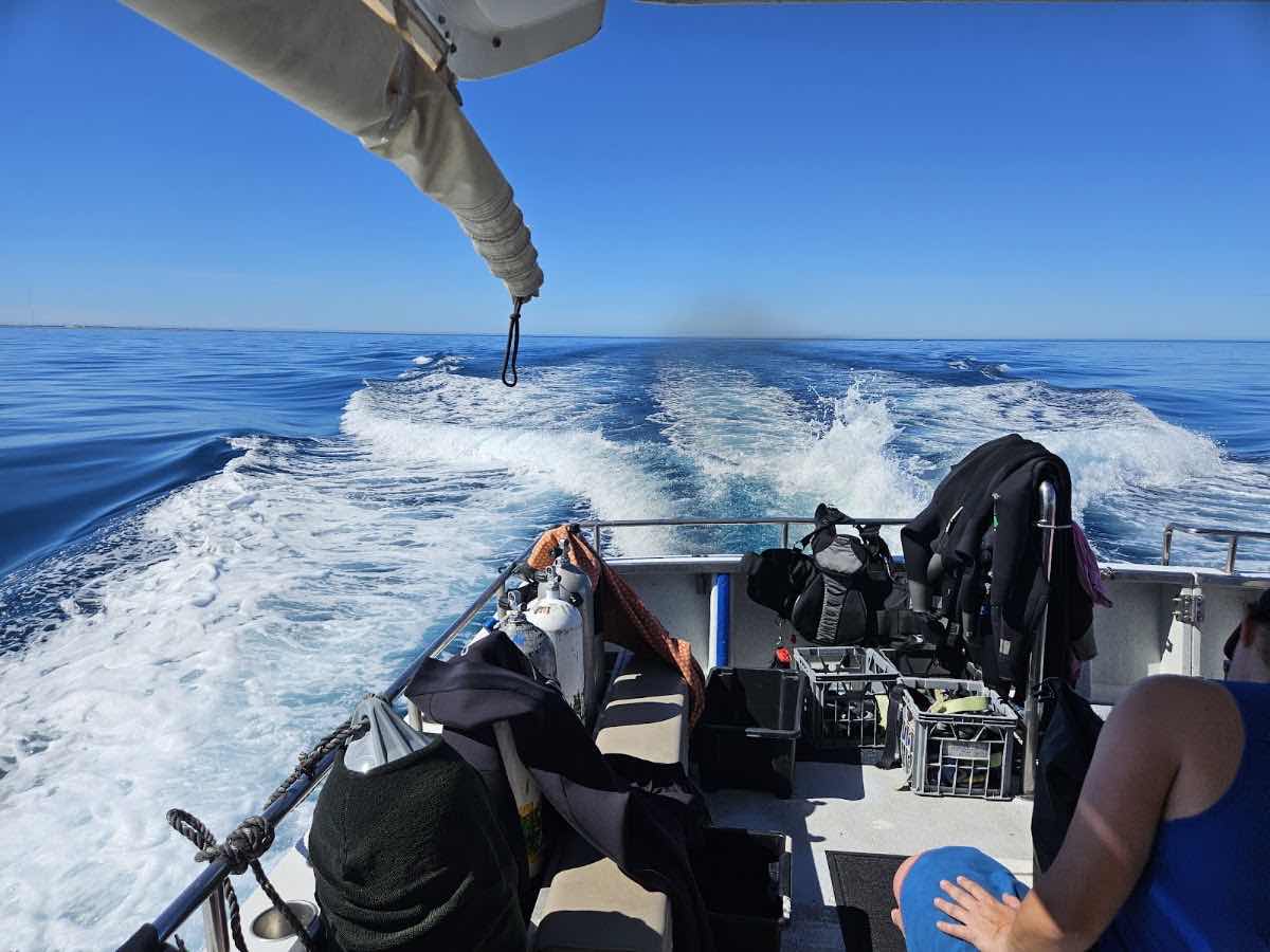 Ningaloo Dive Exmouth photo 9