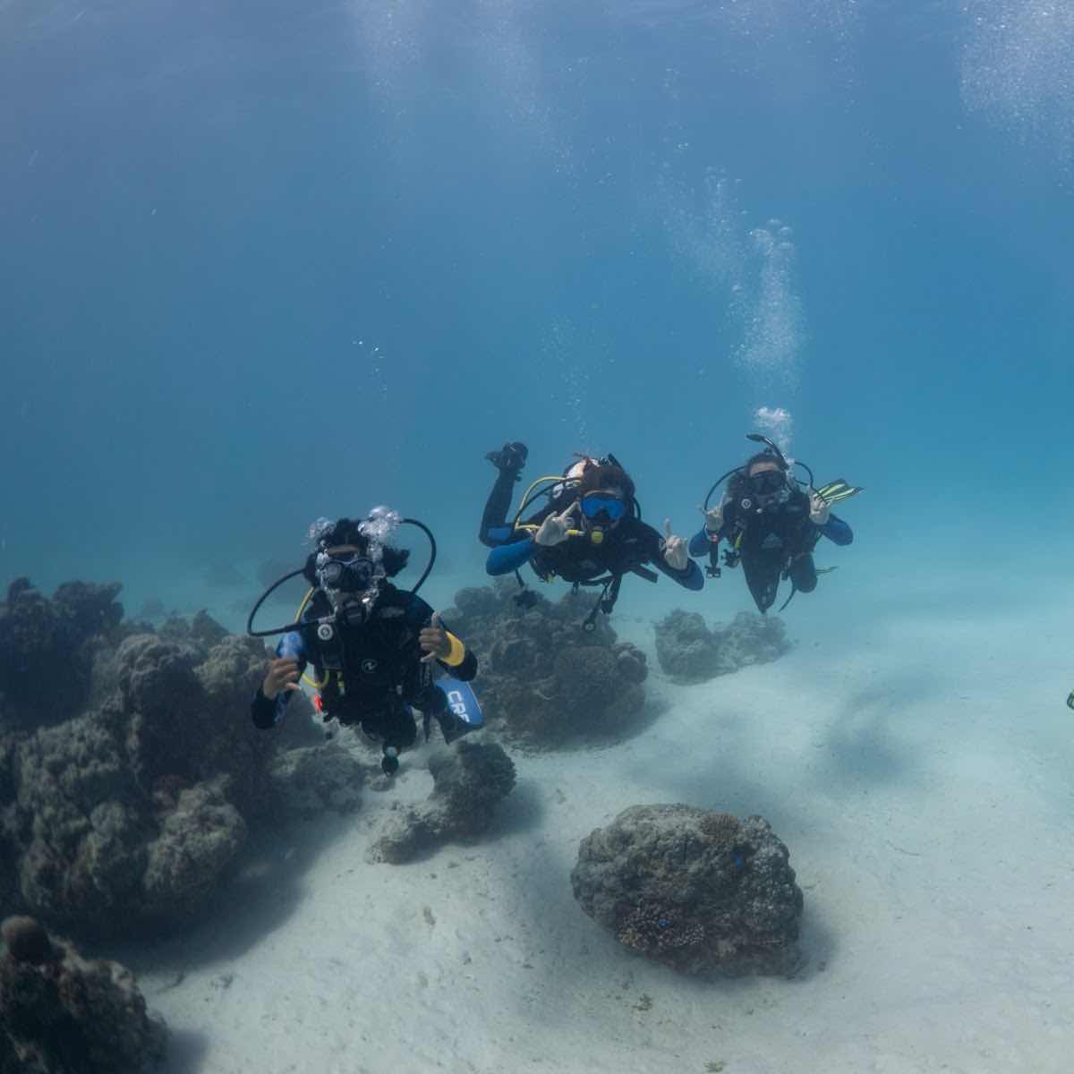 Ningaloo Dive Exmouth photo 10