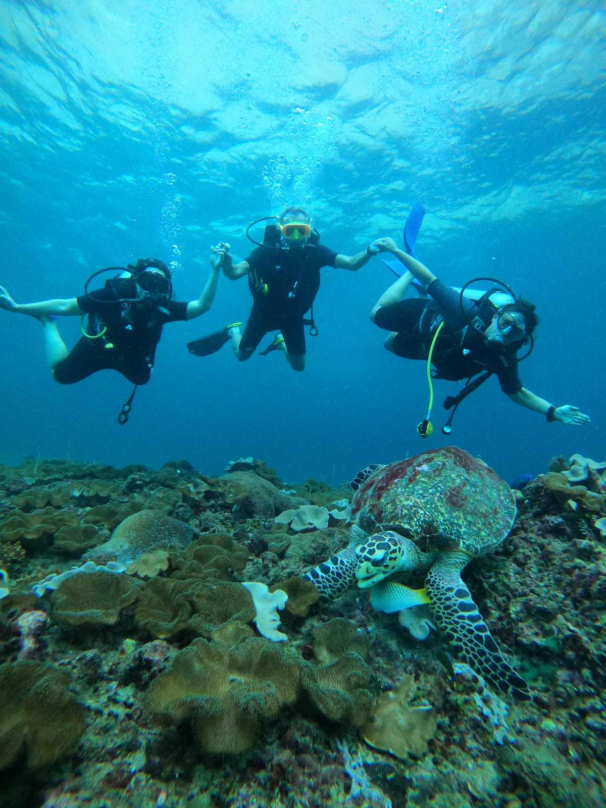 Phi Phi Dive Club photo 4