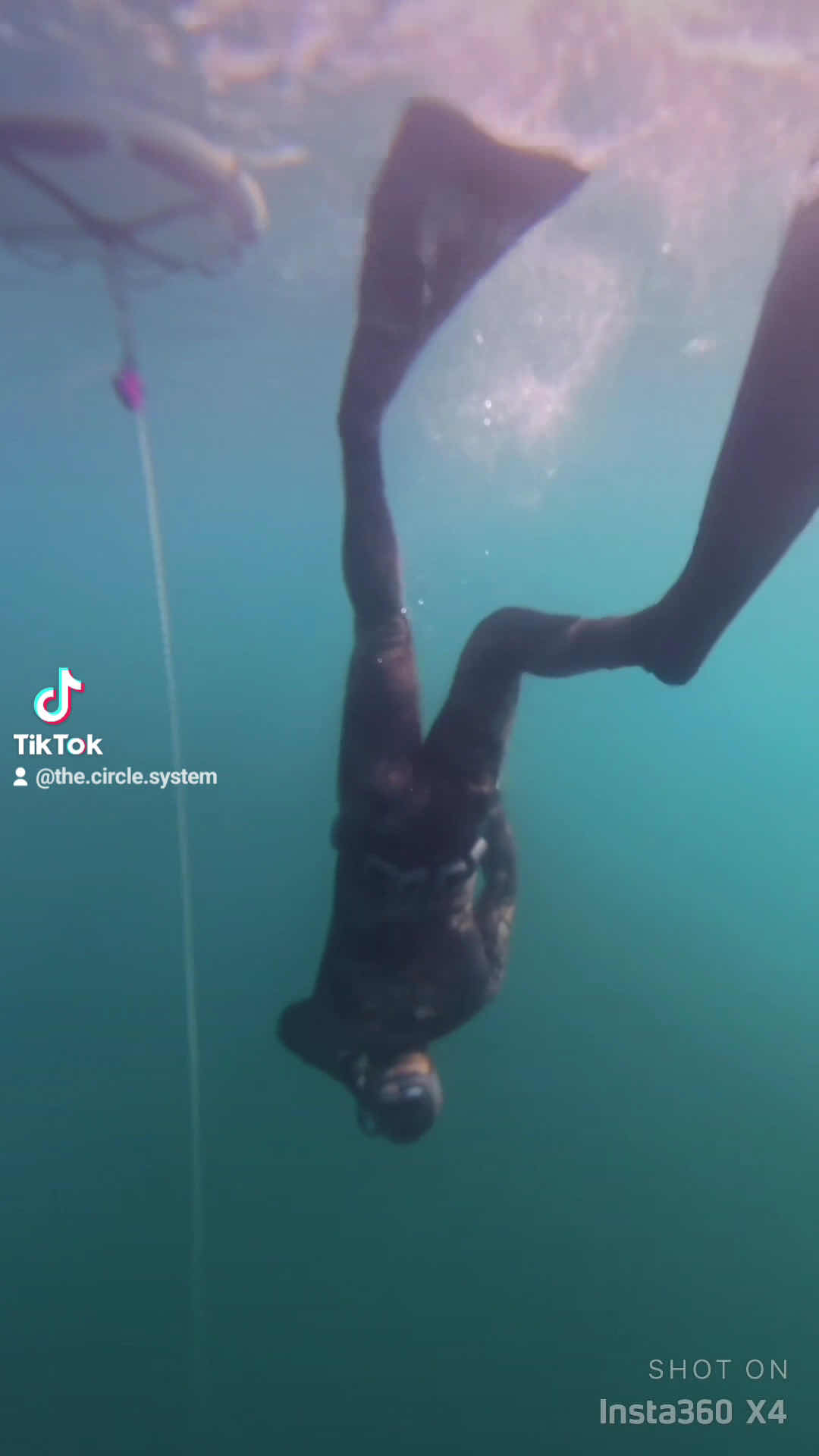 Immersia Freediving photo 3