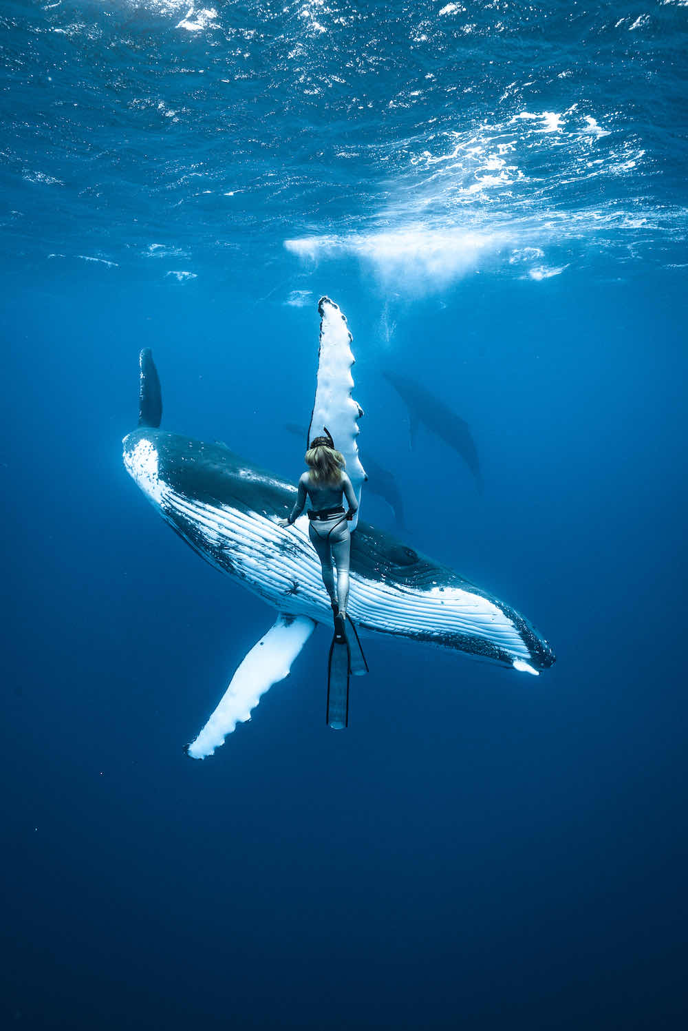 Immersia Freediving photo 5