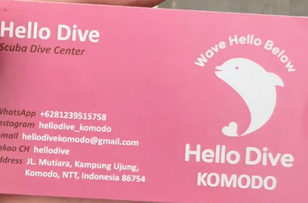 Hello Dive Komodo photo 2