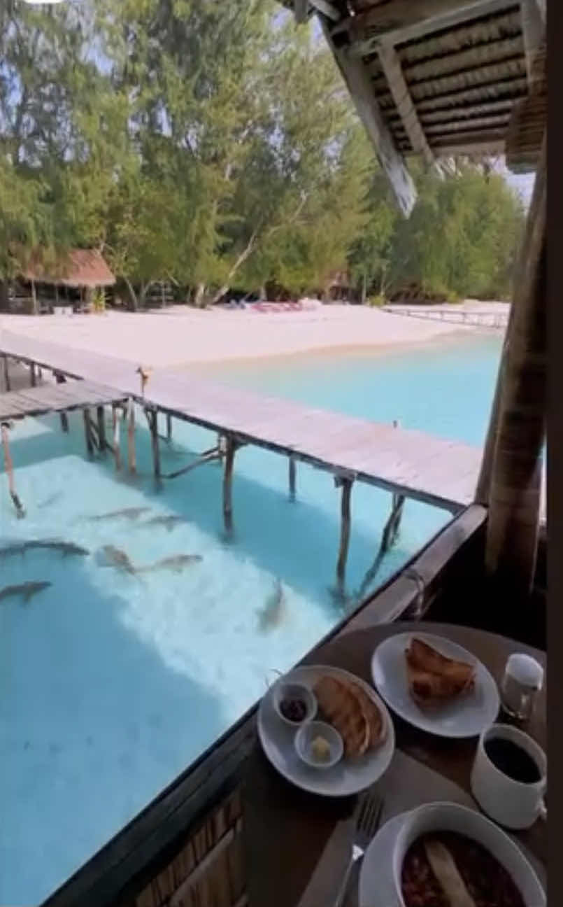 Wai Resort - Raja Ampat photo 7