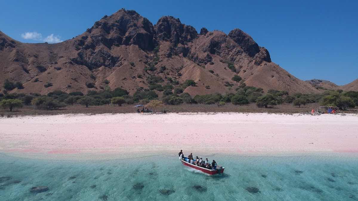 Family Labuan Bajo Tour And Travel photo 8