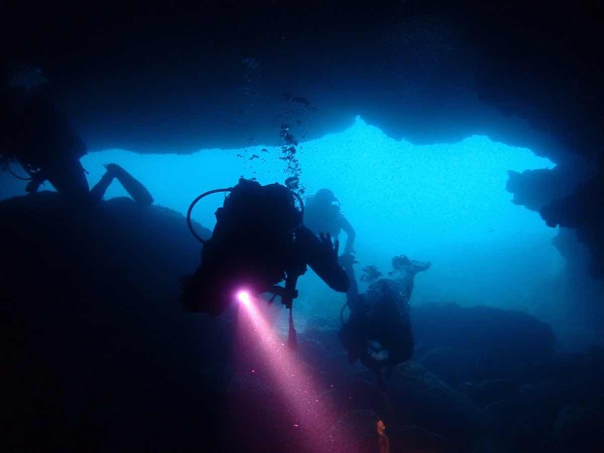 Diver's Cove photo 4