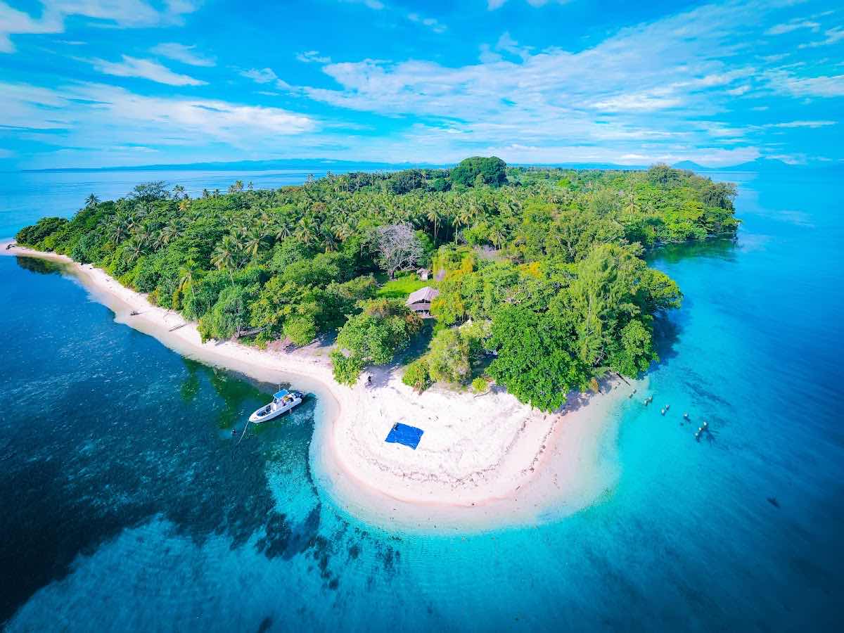 Niugini Dive and Tours photo 4