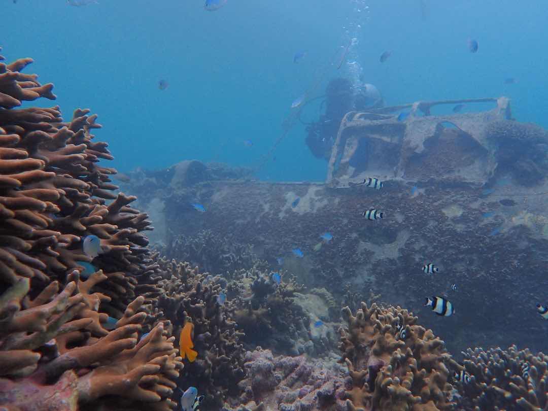 Niugini Dive and Tours photo 7