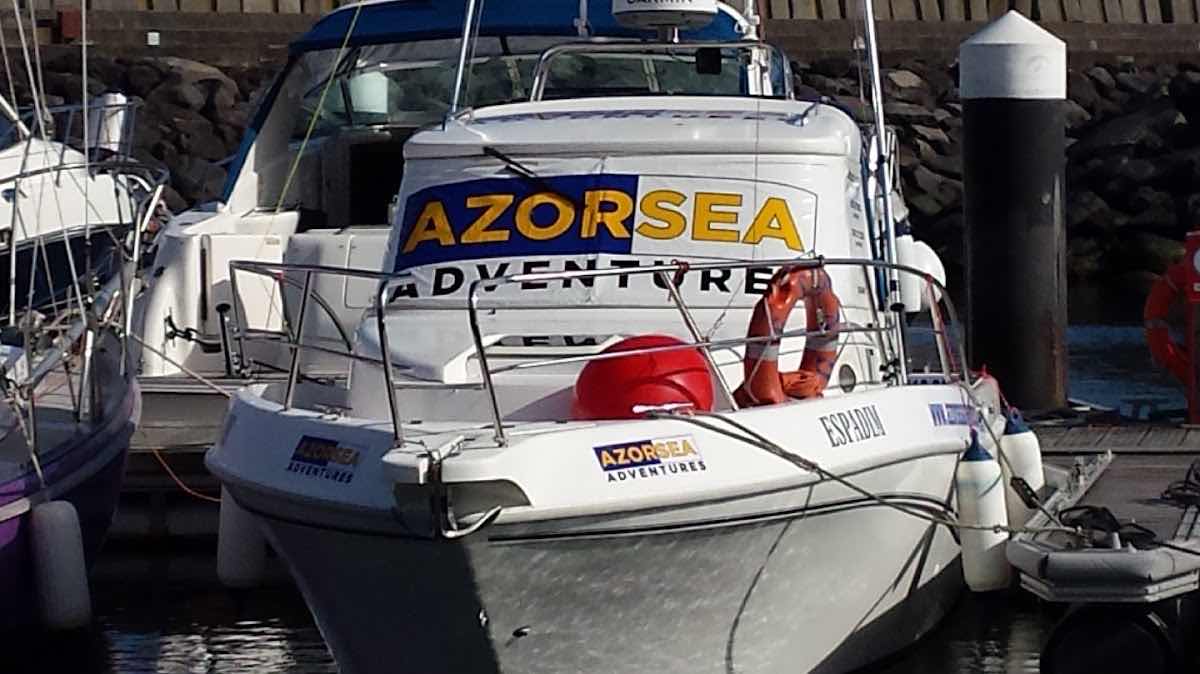 SAILZEN - Azores sailing trips & tours photo 7