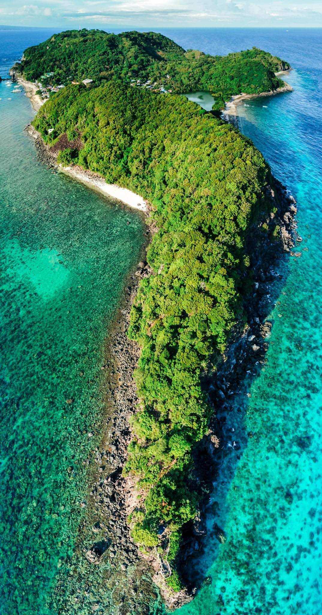 Apo Island photo 6