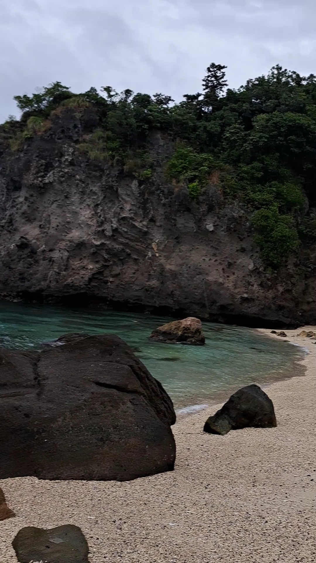 Apo Island photo 10