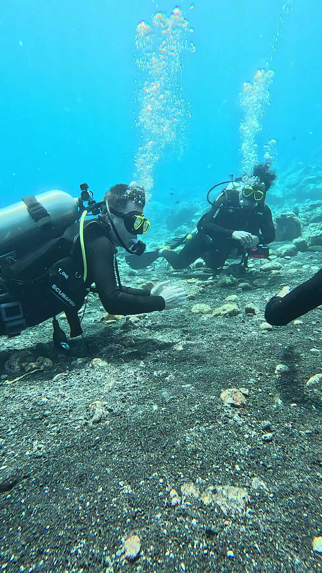 Banda Ocean Divers photo 3