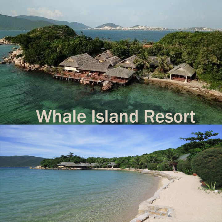 Rainbow Divers - Whale Island photo 4