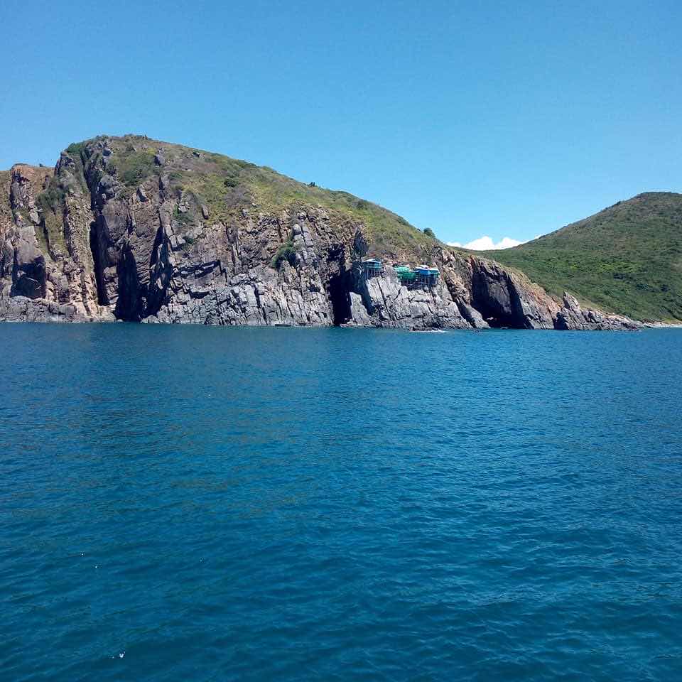 Rainbow Divers - Whale Island photo 6