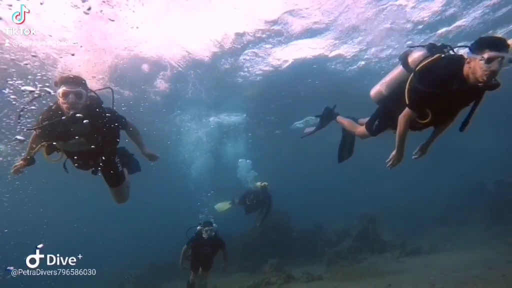 Petra Diving Center photo 3