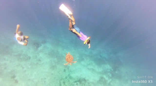 Gili Meno Divers photo 5