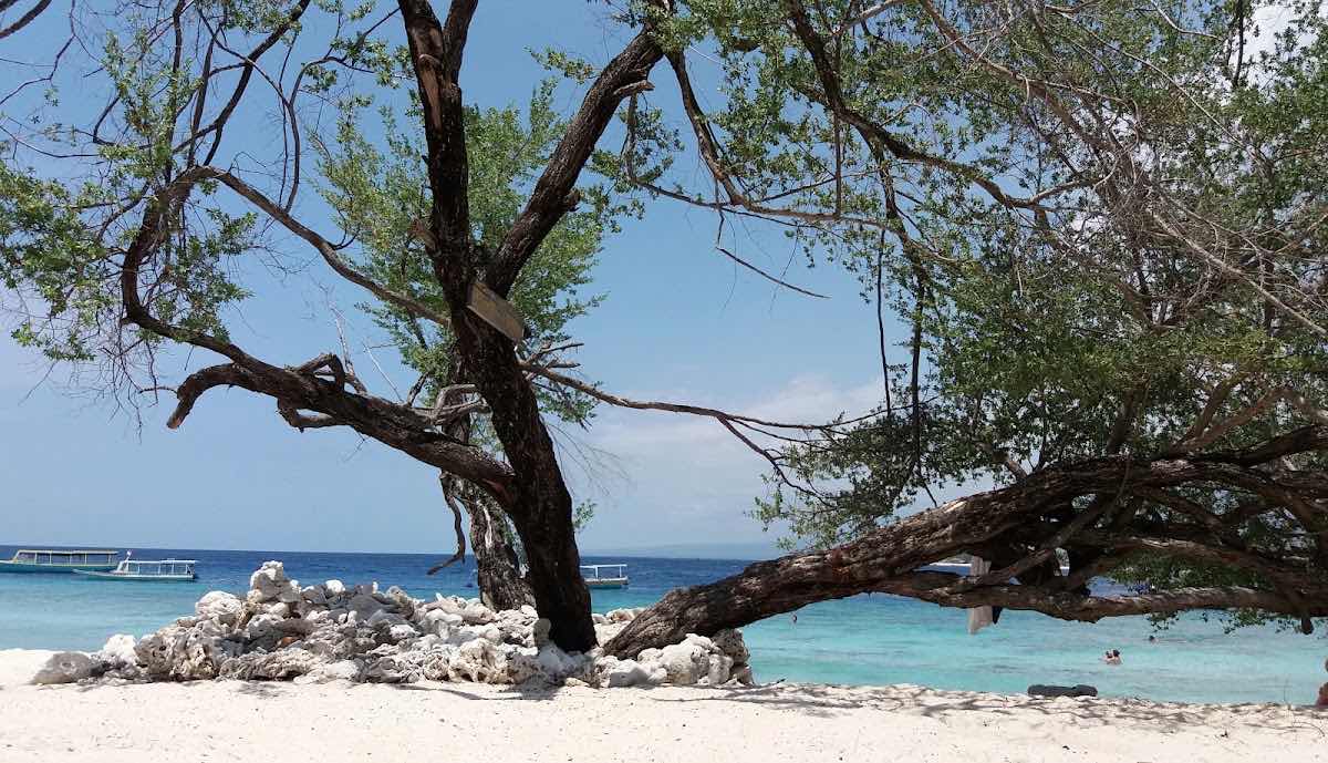 Gili Meno Divers photo 9