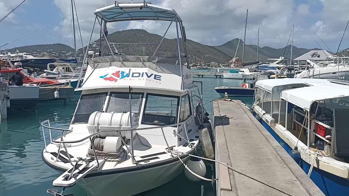 Dive Sint Maarten photo 4